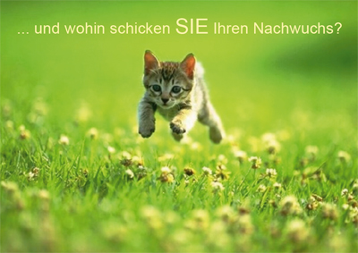 Feierwerk Förderer - Flyer zur Mitglieder